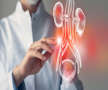 Urología